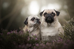 开云中国大陆-足球青训项目纳入地方财政支持体系稳定发展基础，足球青训政策