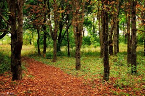 kaiyun体育综合-欧冠门票争夺：“十佳”对决封神之夜