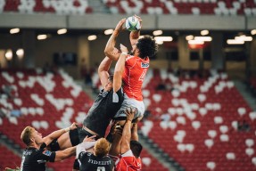 2026体育赛季冠军争夺，近期体育冠军