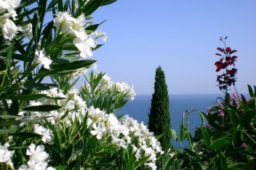 开云中国-中国足球国家队推广细节控制型传控打法，传控足球过时了吗