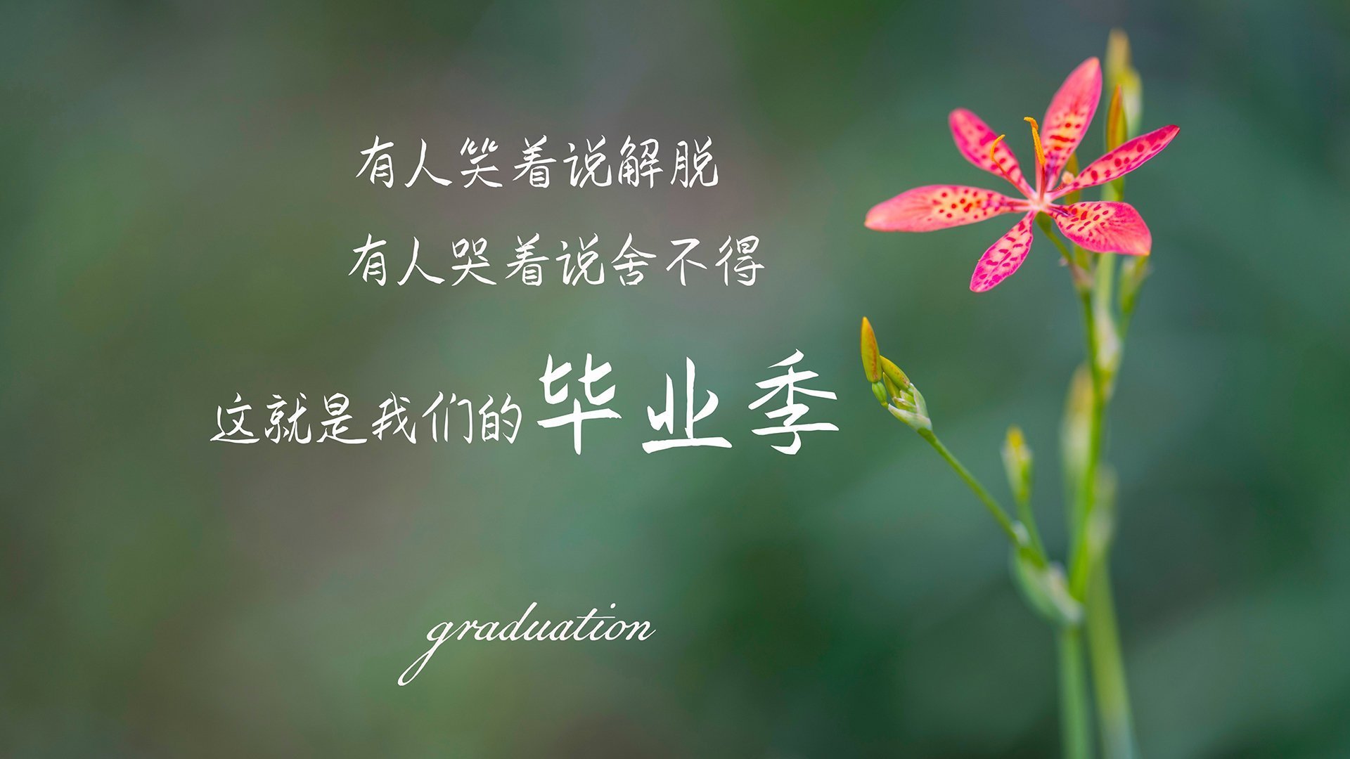 体育赛事安全风险管理,体育赛事风险类型及防控措施