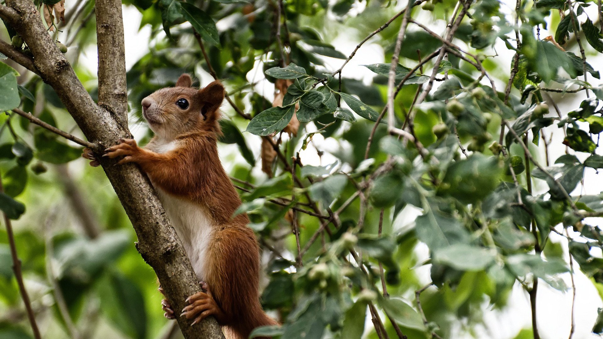 体育新闻中心推动全民健身专题栏目品牌建设，体育局全民健身宣传