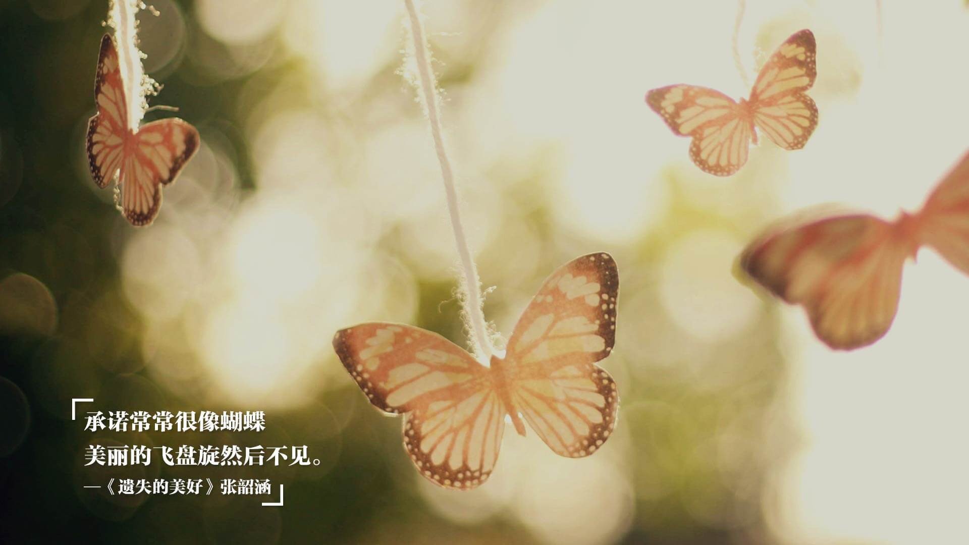 技术动作柔和度对速度影响,技术动作柔和度对速度影响有哪些