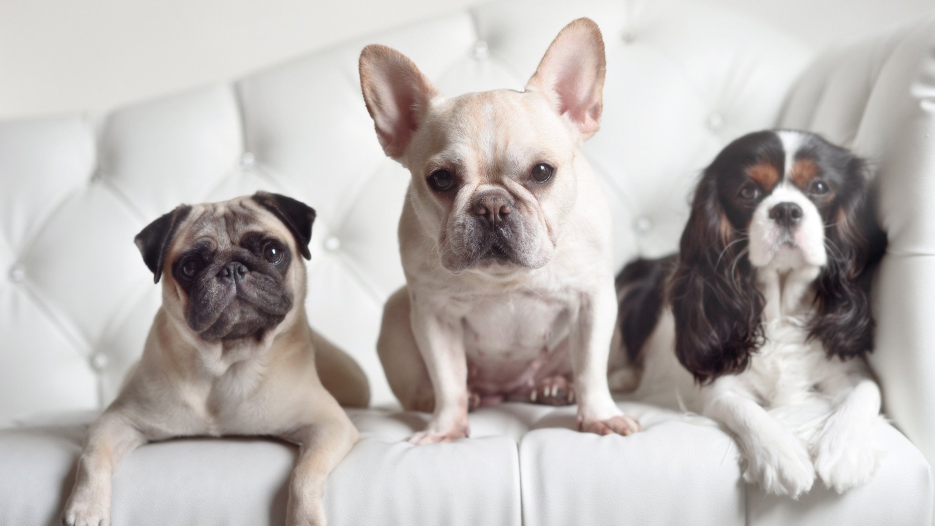 防守配合默契度最高的球队盘点,防守配合默契度最高的球队盘点是什么