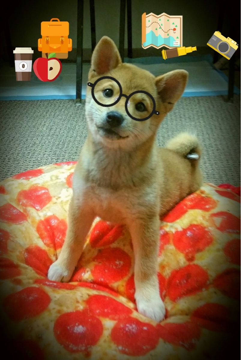 高校体育社团数量持续增长学生积极参与,学校体育类社团