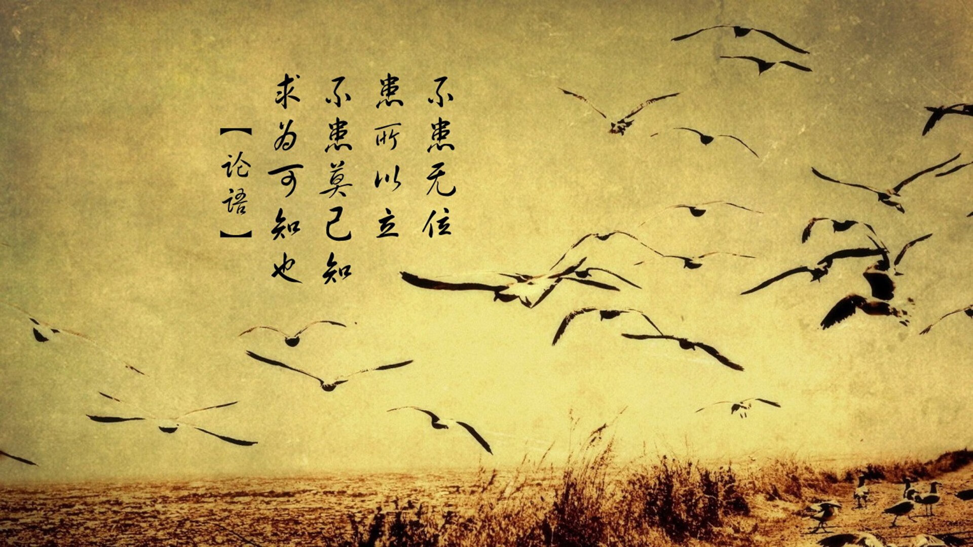 世界杯场场爆炸:明星球员震撼全场的瞬间,世界杯突发