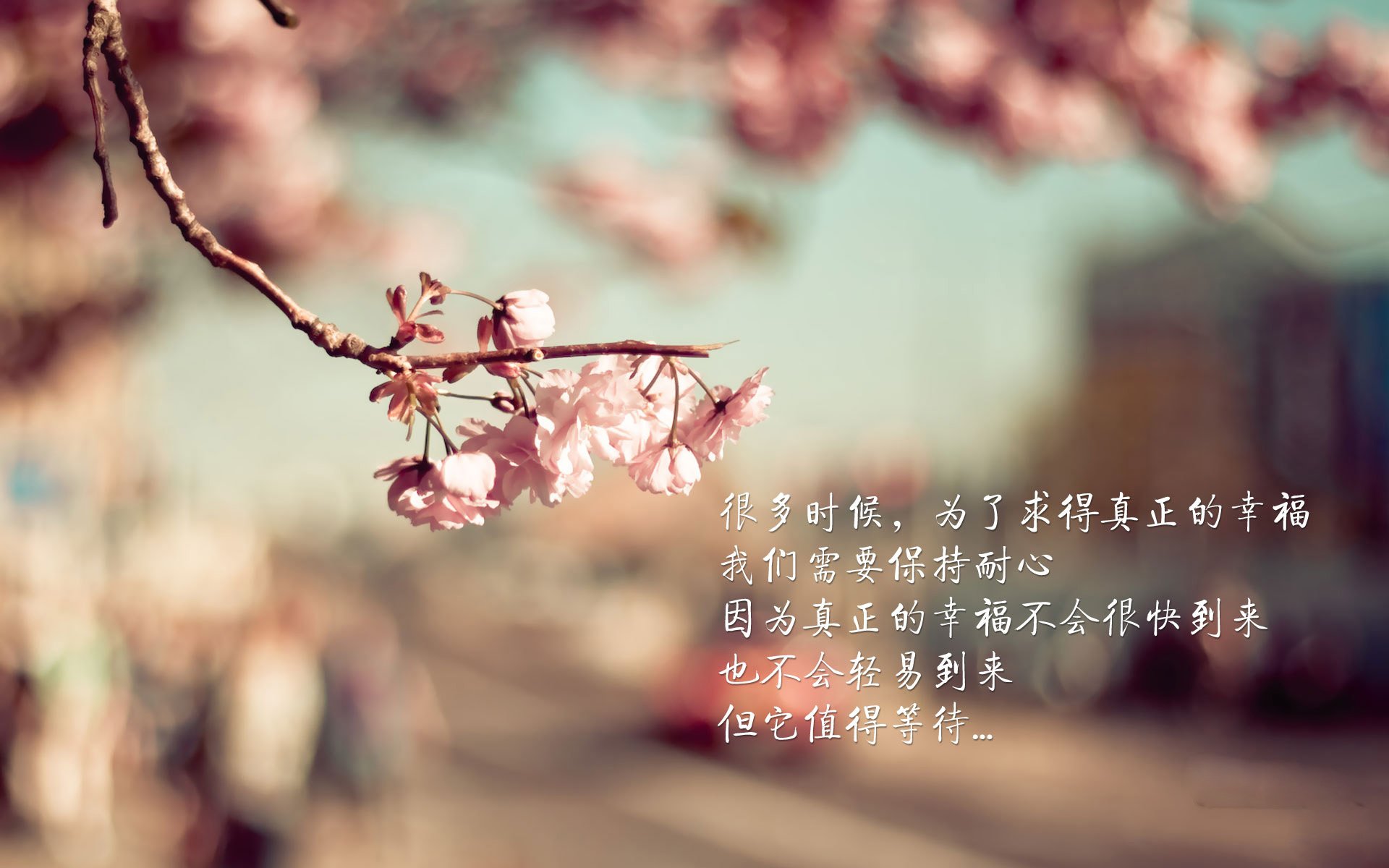 凯尔特人小前锋在训练中完成高难度突破，凯尔特人小后卫