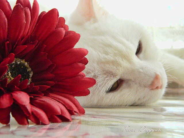 多名球员入选国家队初选名单展现俱乐部培养成果，入选国家队名单篮球