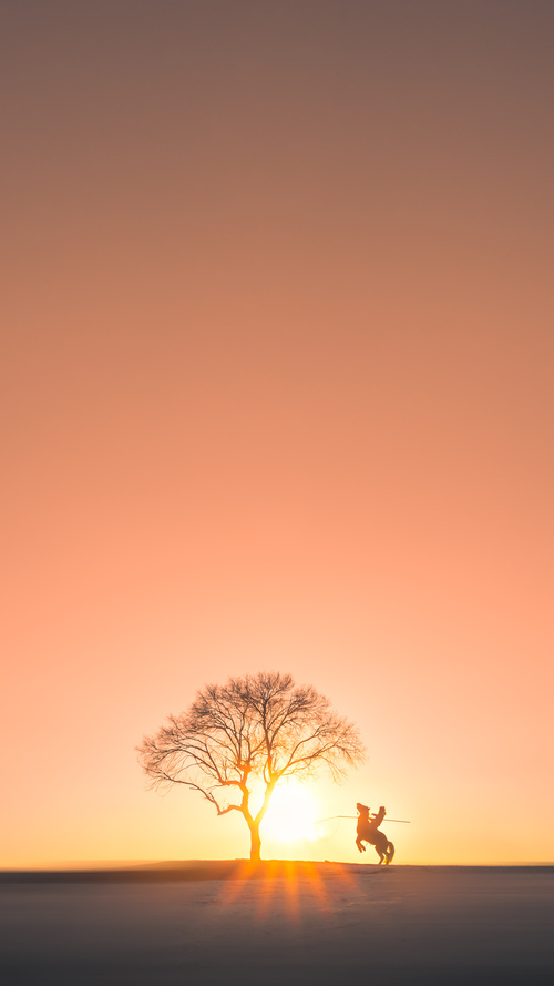 法甲神级吊射：绝技一展，撼动全场