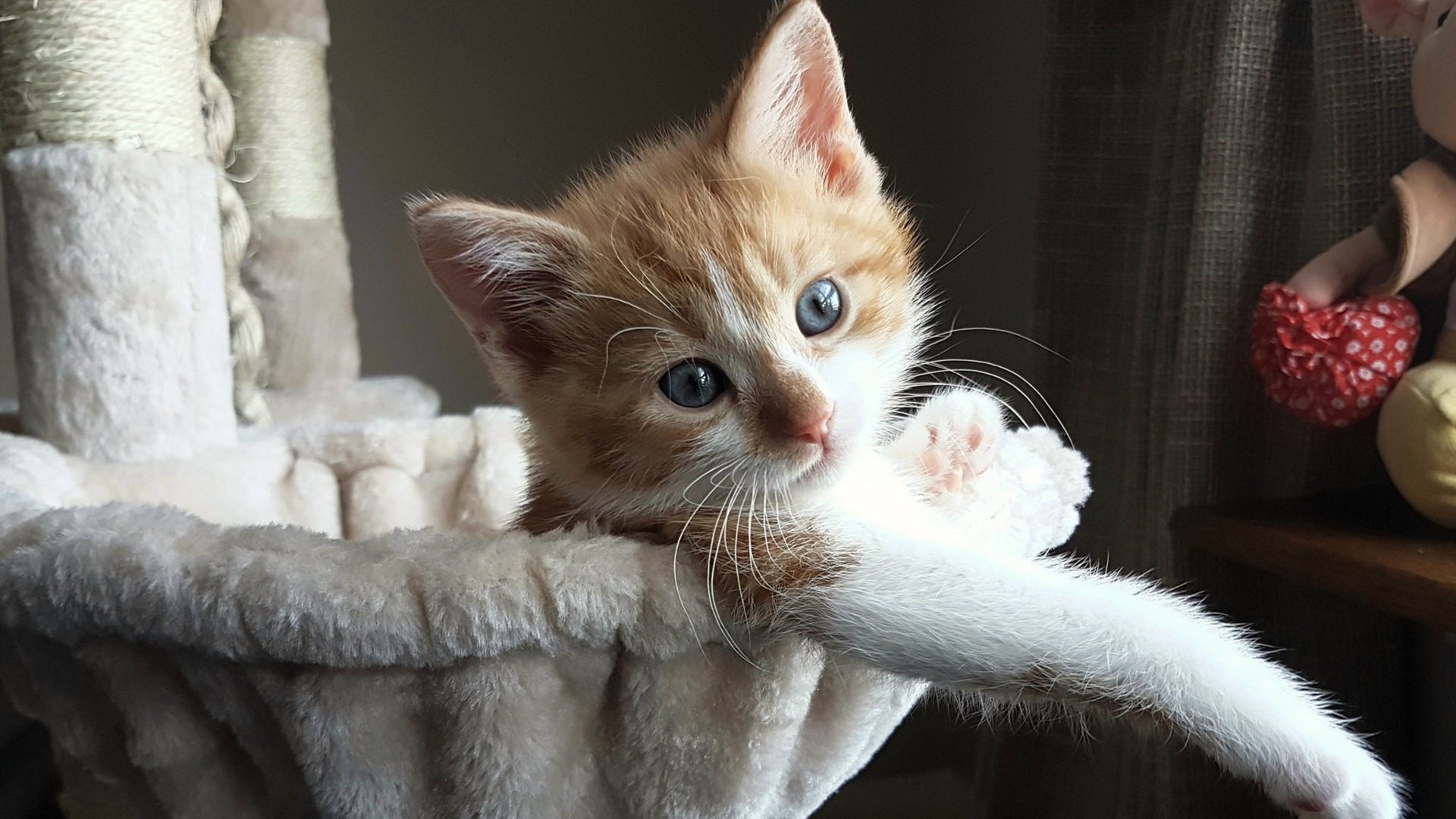 男子游泳全面转型 成绩稳定提升，男子游泳项目有哪些