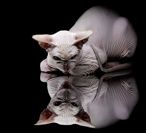 网球训练科技化设备正式投入使用，网球训练器品牌推荐