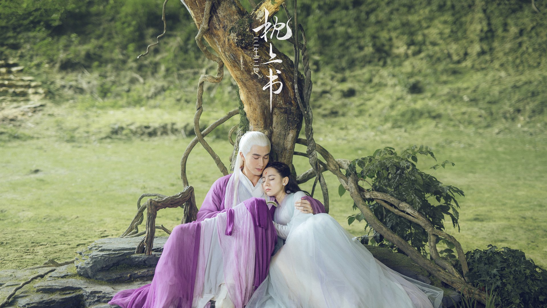 跳水选手入水角度精准获赞，跳水运动员入水角度