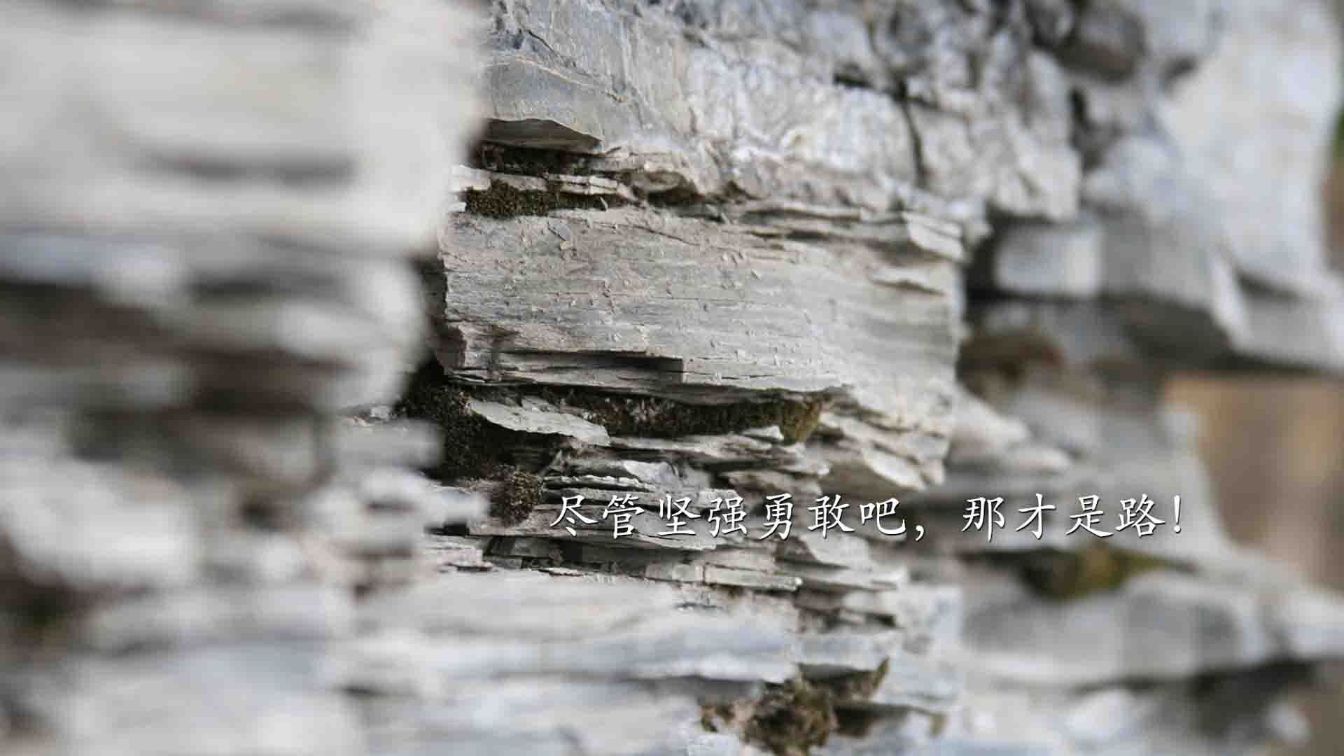 青少年篮球心理素质训练纳入课表推动心智发展与竞技并重，青少年篮球教育