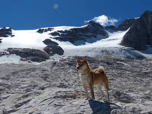 中考英语复习计划大公开，大小考高分轻松拿，英语中考题讲解