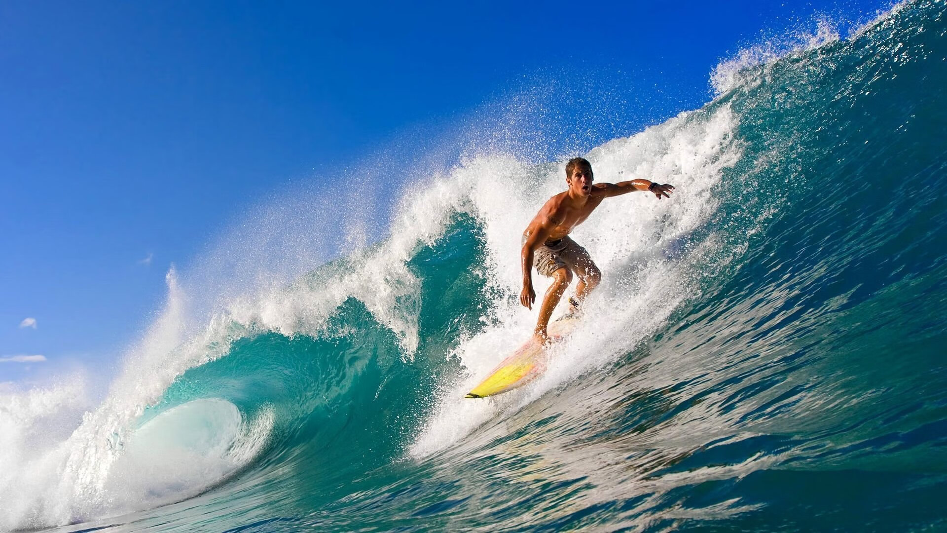 体育赛事推荐分析大全，体育赛事策划方案-2019年范文